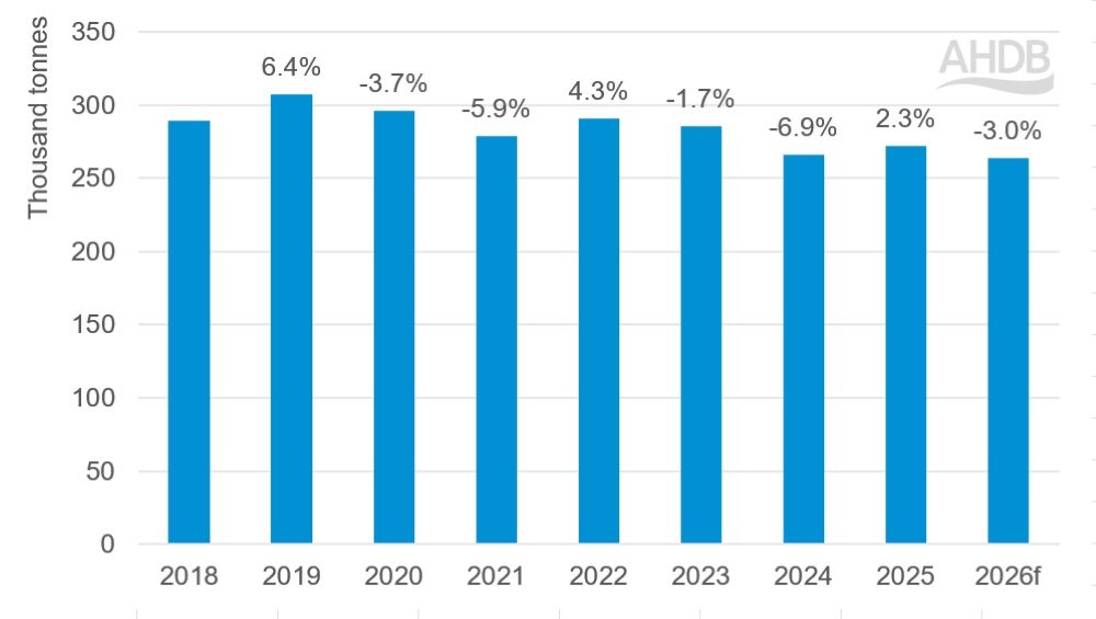 Bar chart showing actual and forecast UK sheep meat production 2018 to 2026
